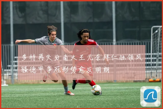 多特再失分南大王无奈拜仁独领风骚德甲争冠形势愈发明朗